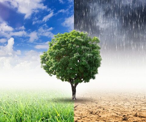 Hình ảnh đối lập ở hai khu vực nắng mưa cần bảo vệ chống thấm